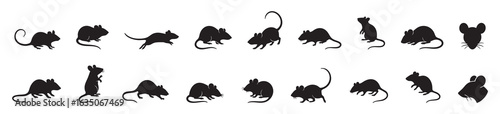 Collection of black mouse silhouettes of various poses, isolated on white background. concept of icons, logos, rodent, animal, design element, wildlife, set illustration