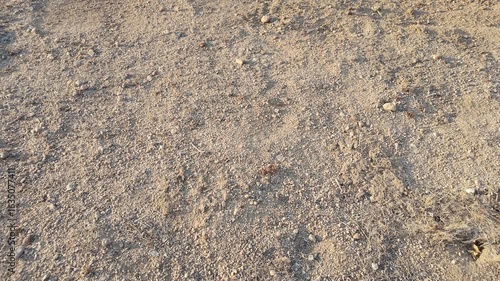 Close up view of the ground soil of the Mojave Desert in California