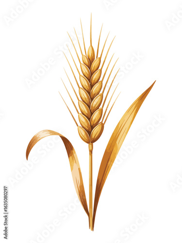 Golden ripe wheat stalk with leaves isolated on white background