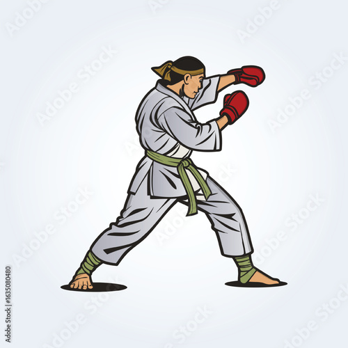 a character illustration of a karate man doing a punching