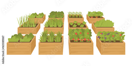 Raised garden beds filled with various fresh vegetables and herbs