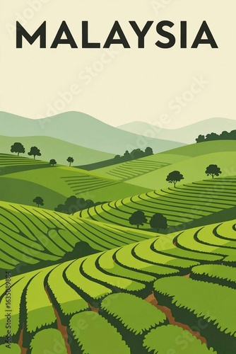 malaysia poster Tea plantation poster. Vector illustration of a tea plantation with mountains in the background.
