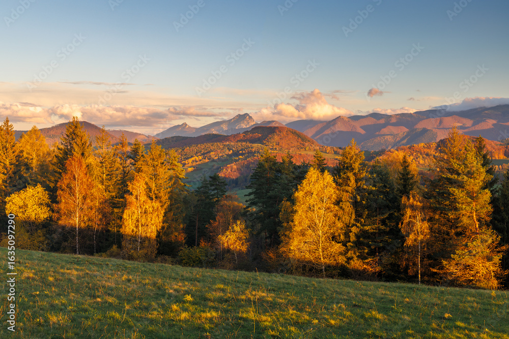 Fototapeta premium Autumn Sunlight on Rolling Hills: A Scenic Mountain Landscape with Golden Trees and Distant Peaks. The Mala Fatra national park in Slovakia, Europe.