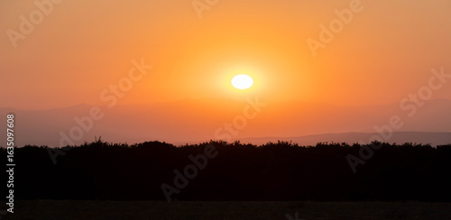Sunrise Over Orchards and The Sierra Nevada Foothills in Tulare County, California, USA
