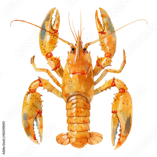 watercolor vector of Lobster, isolated on a white background.