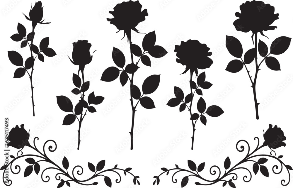 Fototapeta premium Black Silhouette Rose Flowers and Decorative Swirl Border Elements floral botanical