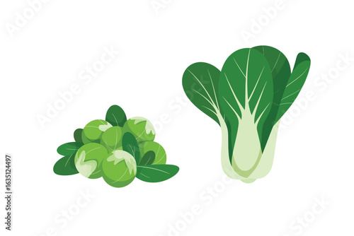 Fresh bok choy and brussels sprouts isolated on white background
