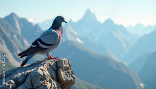 Lone rock pigeon perched on mountain crag, windswept feathers, wildlife, nature
