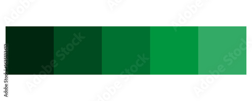 Green color palette. Graded color swatches. Five tones Vector. Dark light shade.