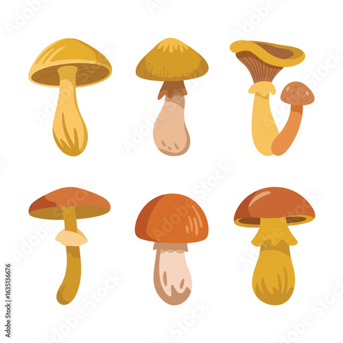 Collection of six stylized edible mushrooms with brown and yellow caps and white stems