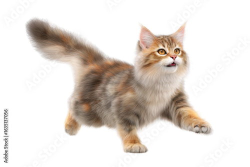 Playful cream kitten jumping in midair isolated on transparent background
