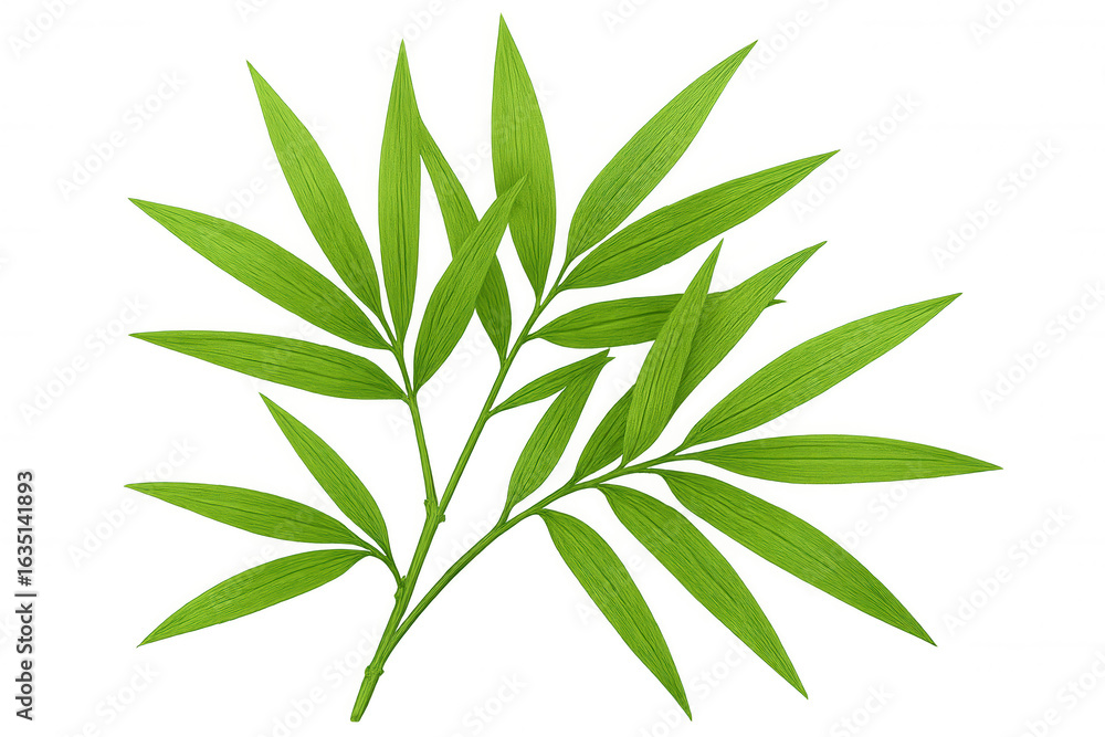 Fototapeta premium Lush green bamboo leaves extend gracefully on a transparent background, embodying tranquility and natural beauty