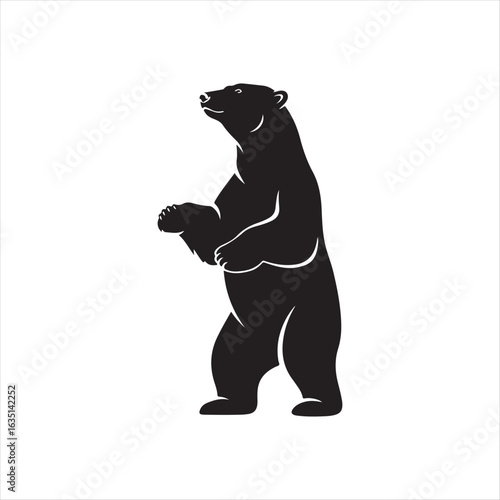 Black bear standing alert on hind legs animal
