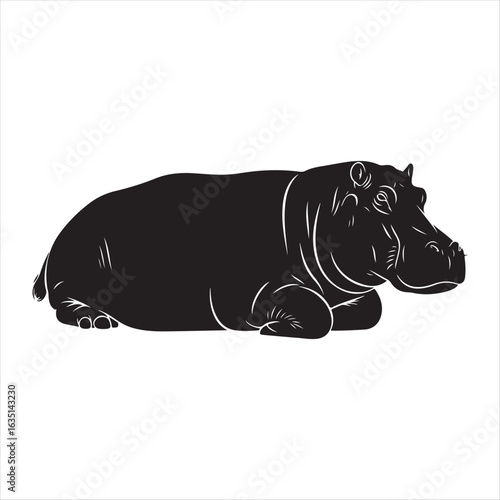 Black hippopotamus resting on white background animal wildlife