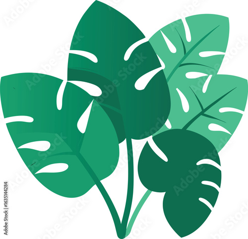 Creatively crafted vector of melissa healthy food herbal or green tea