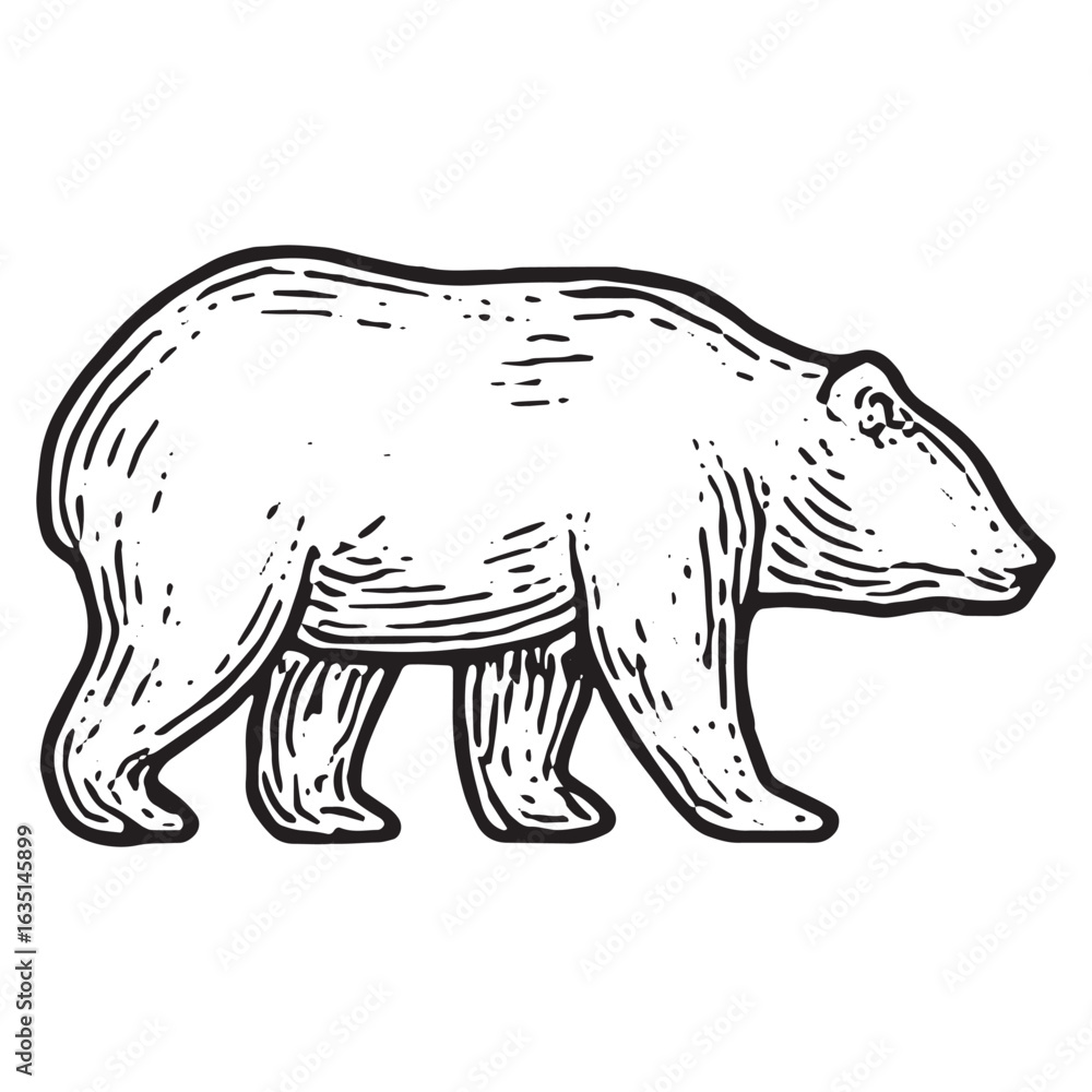Fototapeta premium Wild bear sketch, ideal for wildlife art, nature adventure, and forest designs
