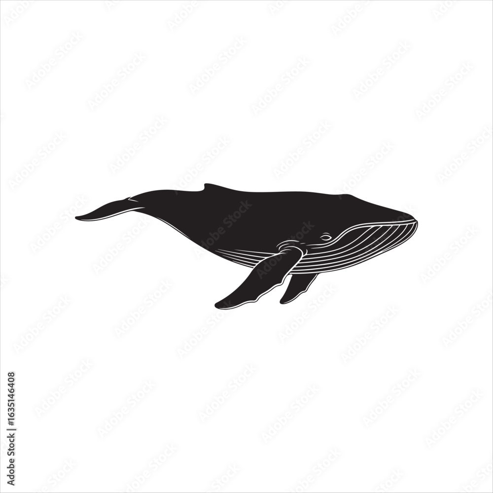 Fototapeta premium Black whale swimming with white lines on its body ocean