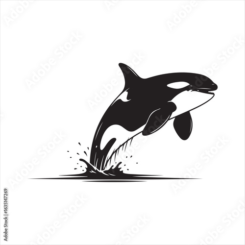 Orca whale breaching water black and white illustration killer whale jumping