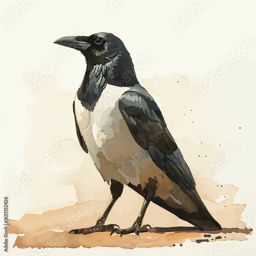 Crow, watercolor illustration vector, isolated on a white background.