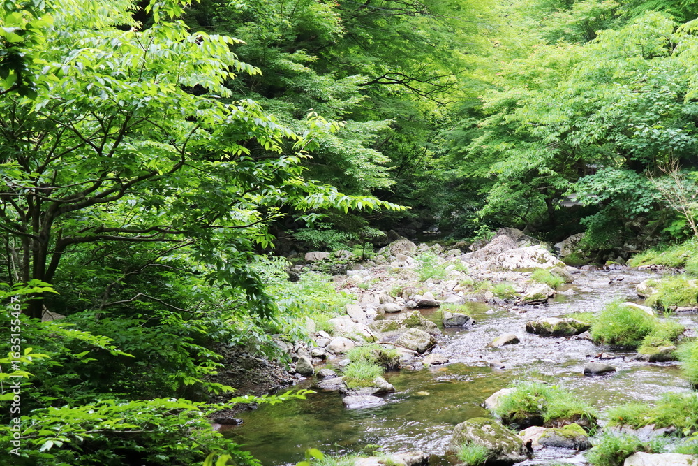 Fototapeta premium 岡山県真庭市 神庭の滝自然公園