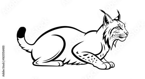Striking black and white illustration of a lynx in a relaxed pose