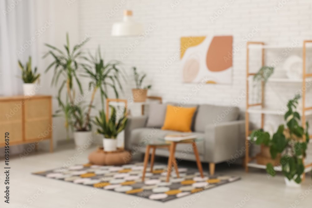 Fototapeta premium Interior of modern room with grey sofa, glass coffee table and houseplants. Blurred view