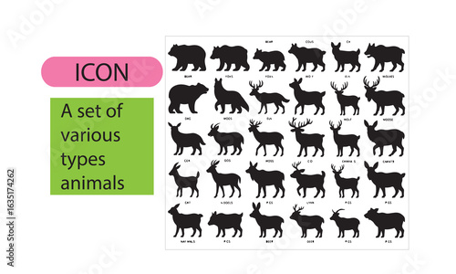 A set of wild animal