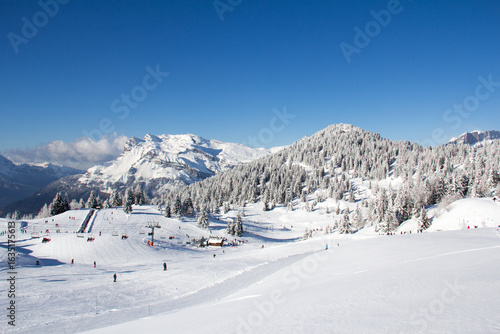 Ski slopes in the ski area des Houches Chamonix Mont-Blanc Haute-Savoie France