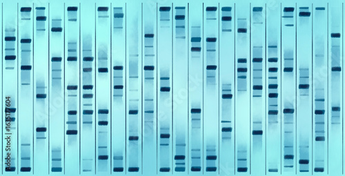 Obraz na płótnie DNA sequencing result, visualisation. Researches in genetics