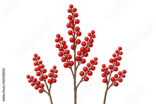 Vivid red berry branches spreading seasonal joy, transparent background highlighting festive botanical details for holiday graphics