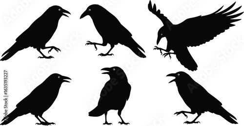 Vector art of crow silhouette set isolated on white background, a bird vector illustration