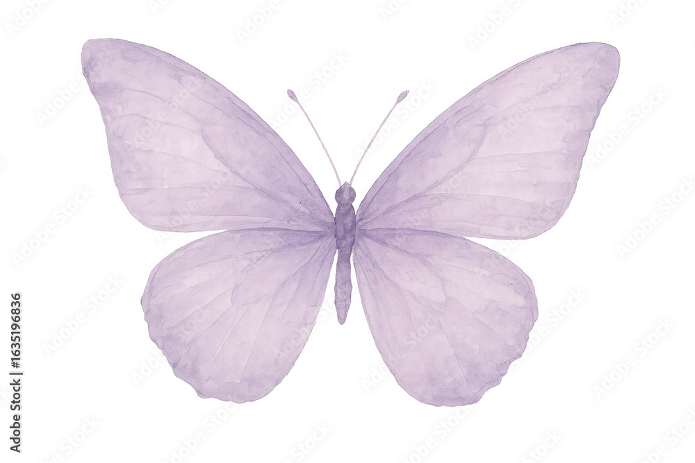 Obraz premium Delicate purple butterfly spreading wings, watercolor artwork, transparent backdrop, perfect for design compositions