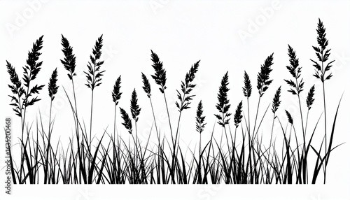 Black silhouette of tall wild grass and meadow herbs. A minimalist botanical vector illustration of field plants isolated on a white background.