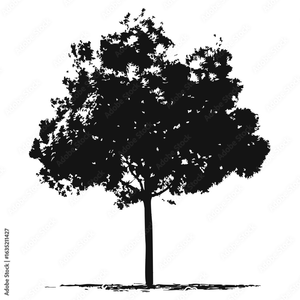 Fototapeta premium Hand drawn tree silhouette on white background