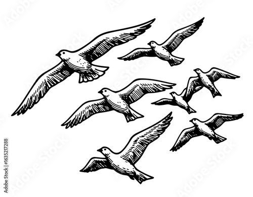Flock of Birds in Flight, Black and White Vector Illustration