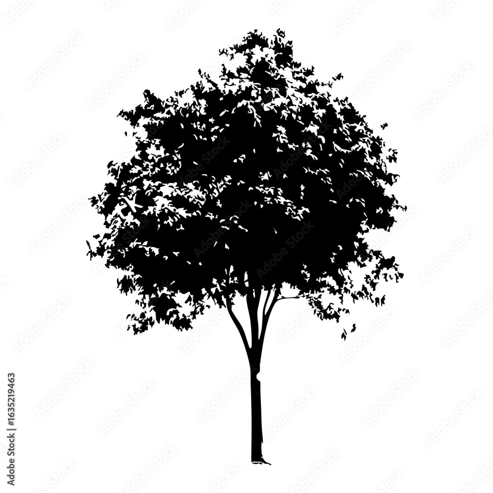 Fototapeta premium Hand drawn tree silhouette on white background