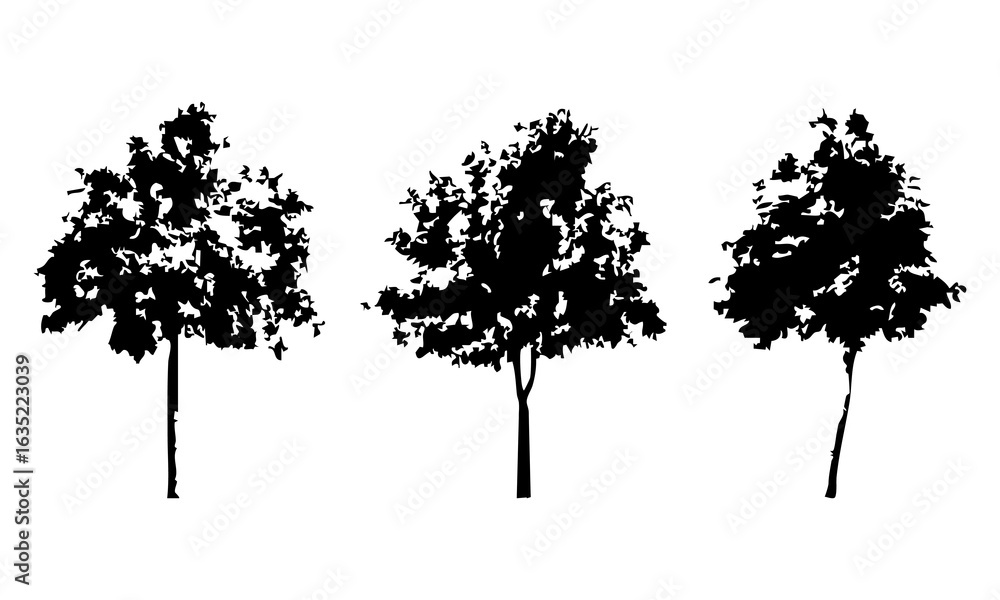 Fototapeta premium Hand drawn tree silhouette on white background