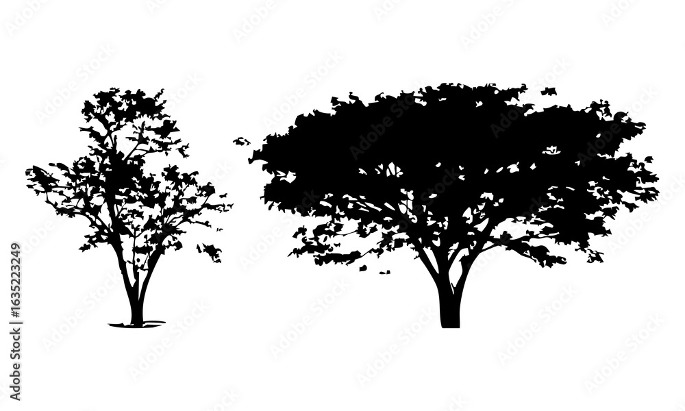 Obraz premium Hand drawn tree silhouette on white background