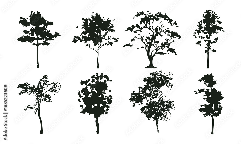 Fototapeta premium Hand drawn tree silhouette on white background