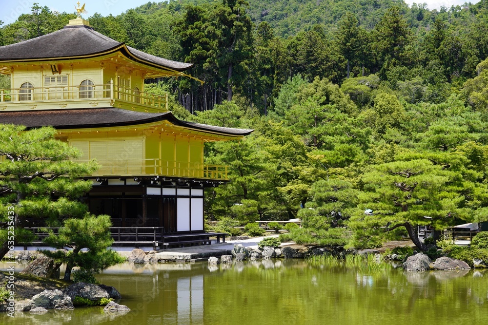 Fototapeta premium Japan