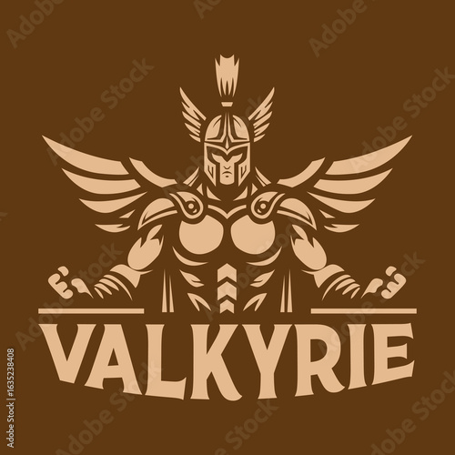 Illustration valkyrie simple and elegant 