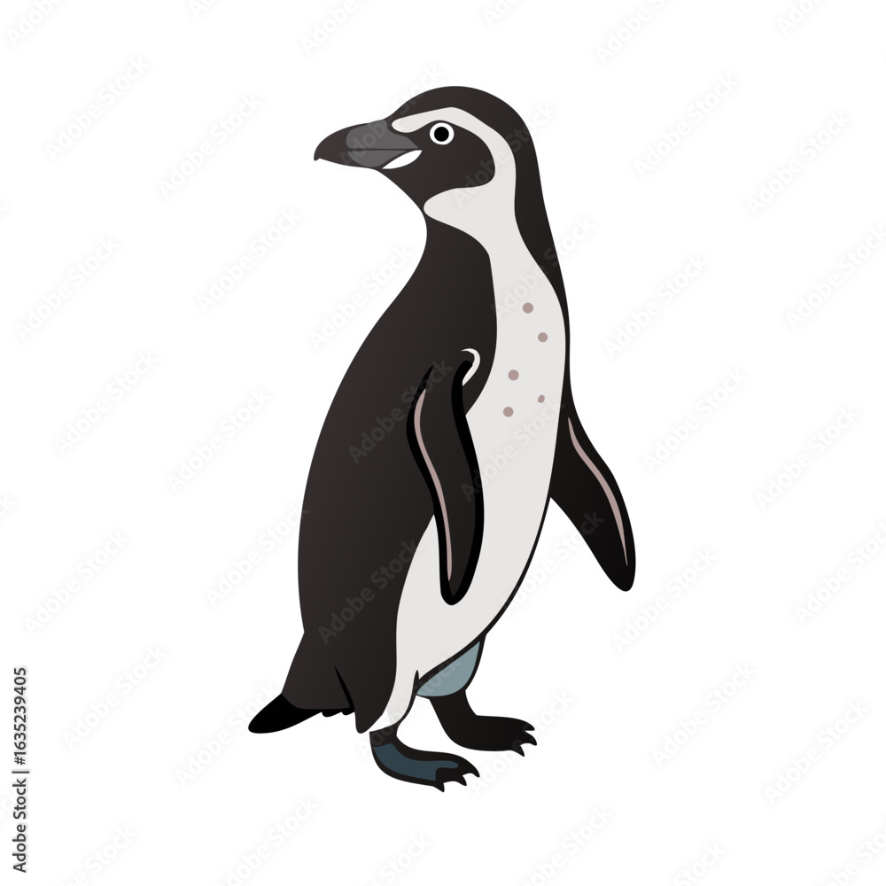 Fototapeta premium Simple illustrations. vector. humboldt penguin.