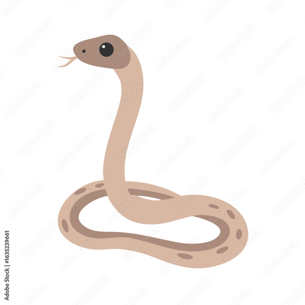 Fototapeta premium Simple illustrations. vector. japanese rat snake.