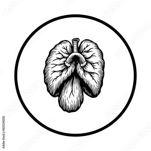 Anatomical lungs with a sketch drawing style inside a circle with a simple and elegant design