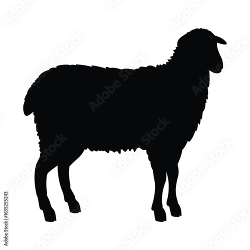 Isolated black silhouette of a sheep, farm animal vector illustration, livestock ewe lamb ram
