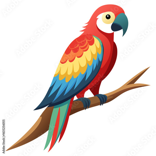 parrot on white background