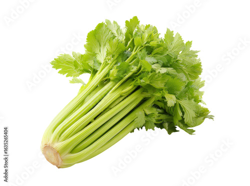 Fresh green celery stalks with lush leaves isolated on black background, Isolated On Transparent Background, Png, Cut Out