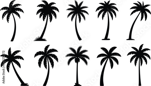 Collection of tropical palm tree silhouettes, different shapes and styles, black coconut trees, beach plant icons, flat vector illustration design