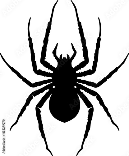 spider on a white background, spider, insect, animal, isolated, white, nature, arachnid, black, bug, vector, halloween, macro, illustration, symbol, scary, tarantula, brown, arachnophobia, white backg