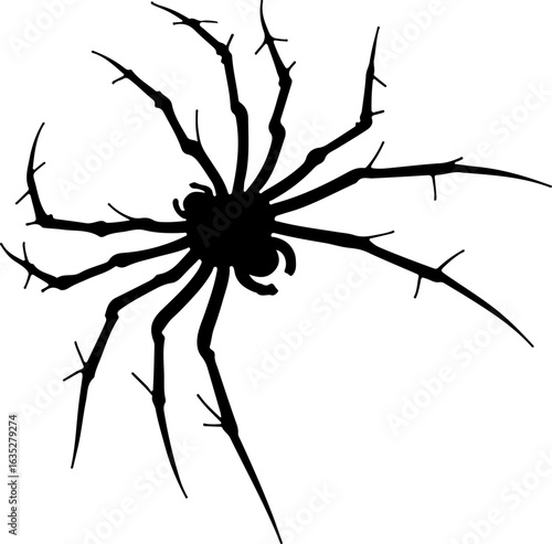spider on a white background, spider, insect, animal, isolated, white, nature, arachnid, black, bug, vector, halloween, macro, illustration, symbol, scary, tarantula, brown, arachnophobia, white backg
